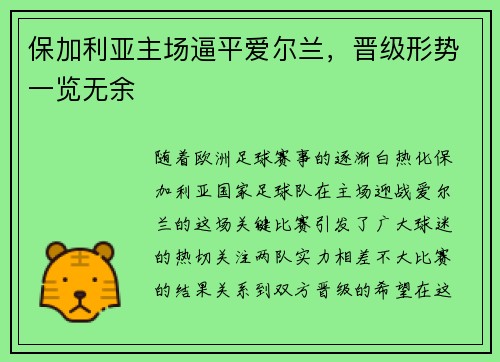 保加利亚主场逼平爱尔兰，晋级形势一览无余